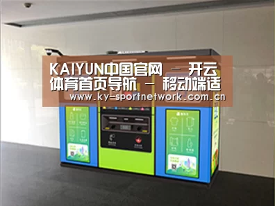 成功案例标题四