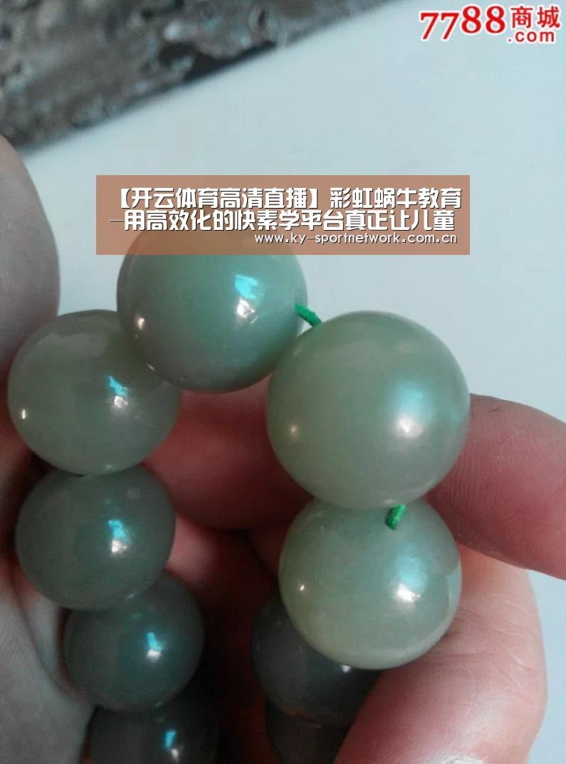 【开云体育高清直播】彩虹蜗牛教育-用高效化的快素学平台真正让儿童素质教育+互联网(图1) 开云官网首页