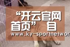 “开云官网首页”
自媒体新手该如何写文章(图1) 开云官网首页