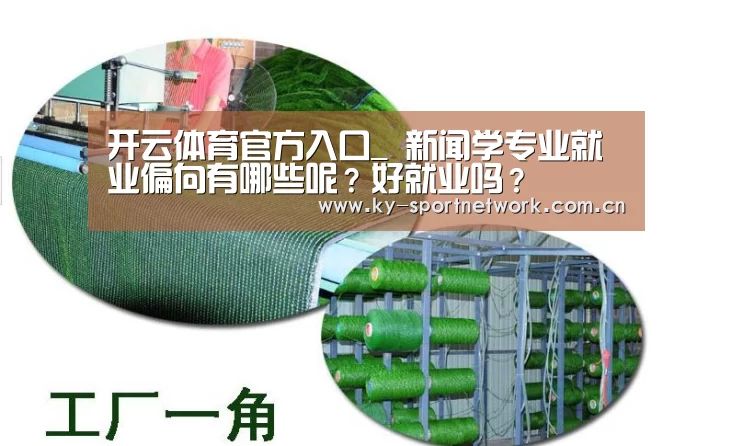 开云体育官方入口