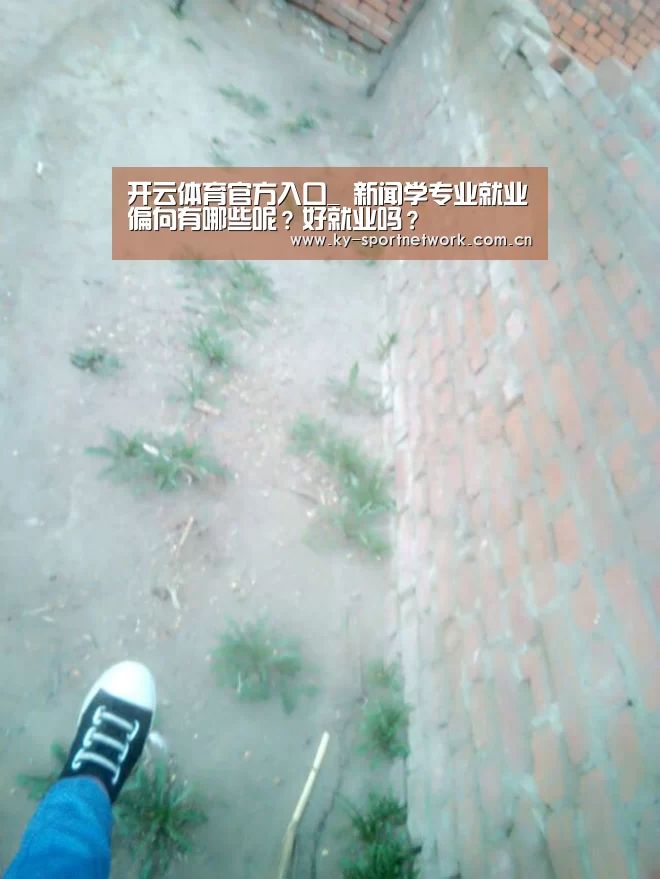 开云体育官方入口