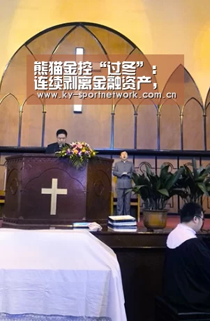 熊猫金控“过冬”:连续剥离金融资产,未来何去何从?:开云体育高清直播(图2) 开云官网首页