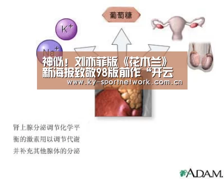 KAIYUN SPORTS